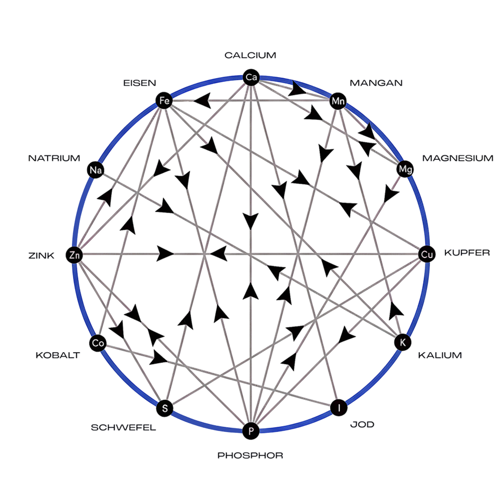 Was ist Mineral Balancing?